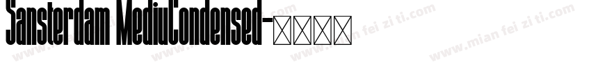 Sansterdam MediuCondensed字体转换
